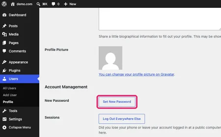 WordPress profile page with the Set New Password button