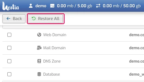 Backup contents with Web Domain, Mail Domain, DNS Zone and Database items and the Restore All button