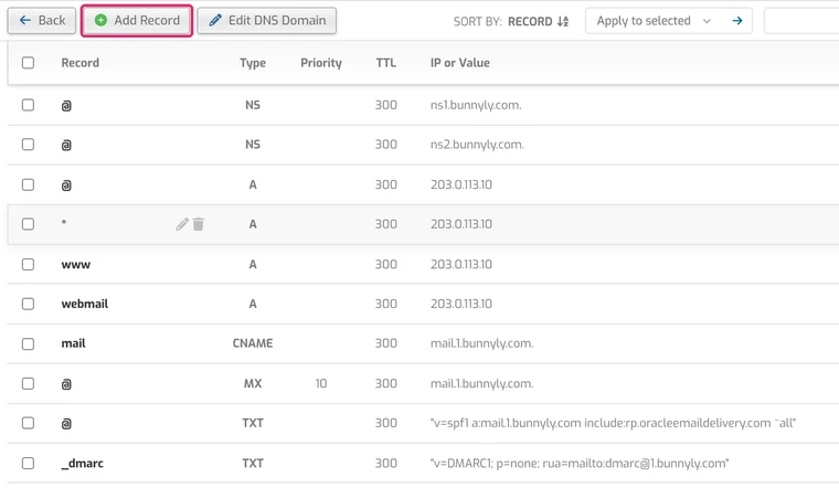 DNS records list for the domain with NS, A, MX and TXT records